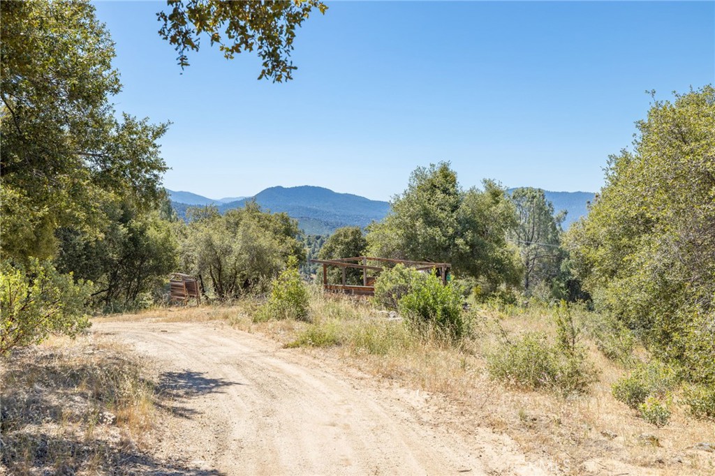 49 Acres Old Yosemite Road Property Photo 20