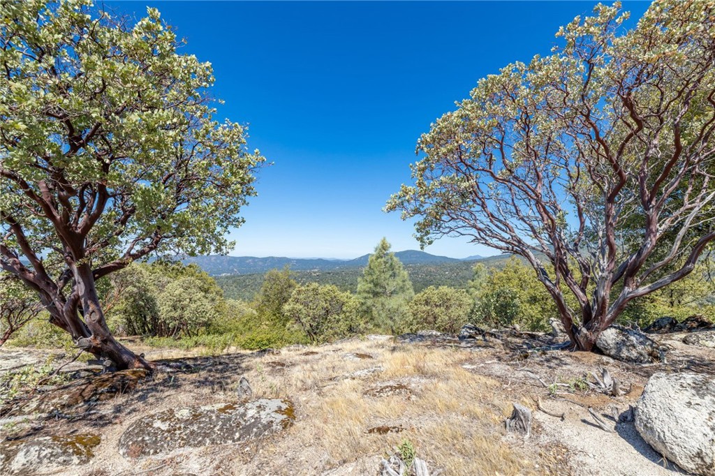 49 Acres Old Yosemite Road Property Photo 25
