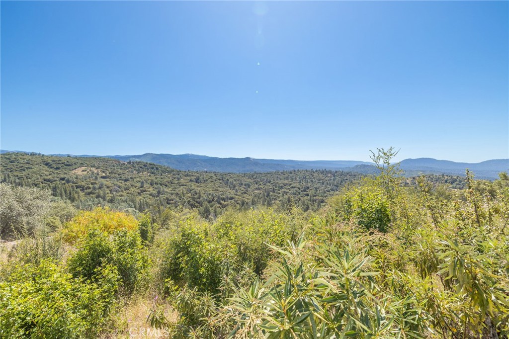 49 Acres Old Yosemite Road Property Photo 29