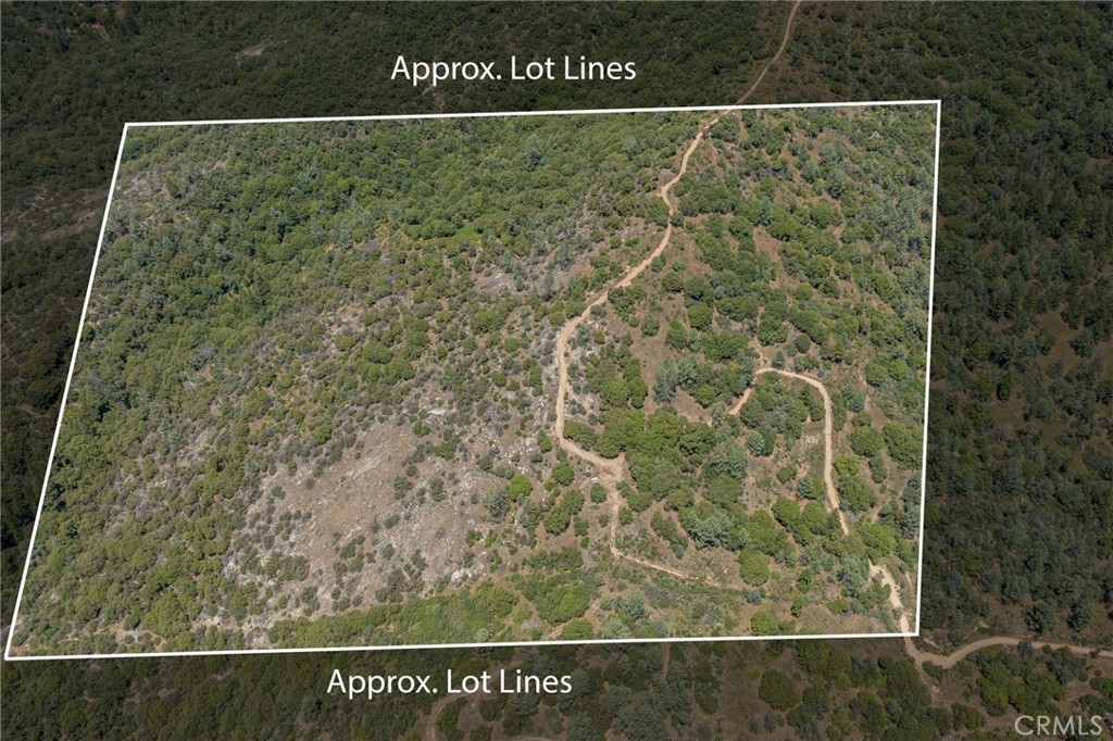 49 Acres Old Yosemite Road Property Photo 31