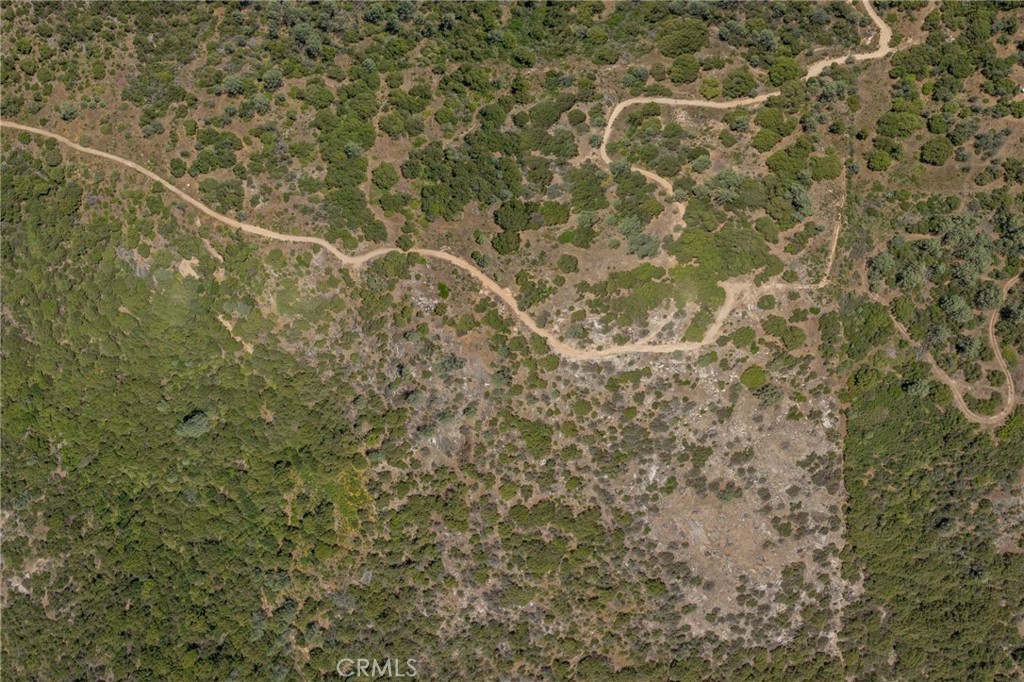 49 Acres Old Yosemite Road Property Photo 34