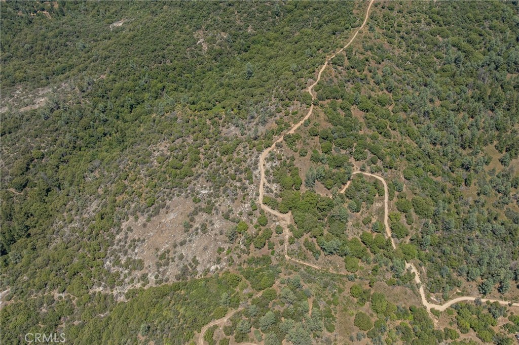 49 Acres Old Yosemite Road Property Photo 37