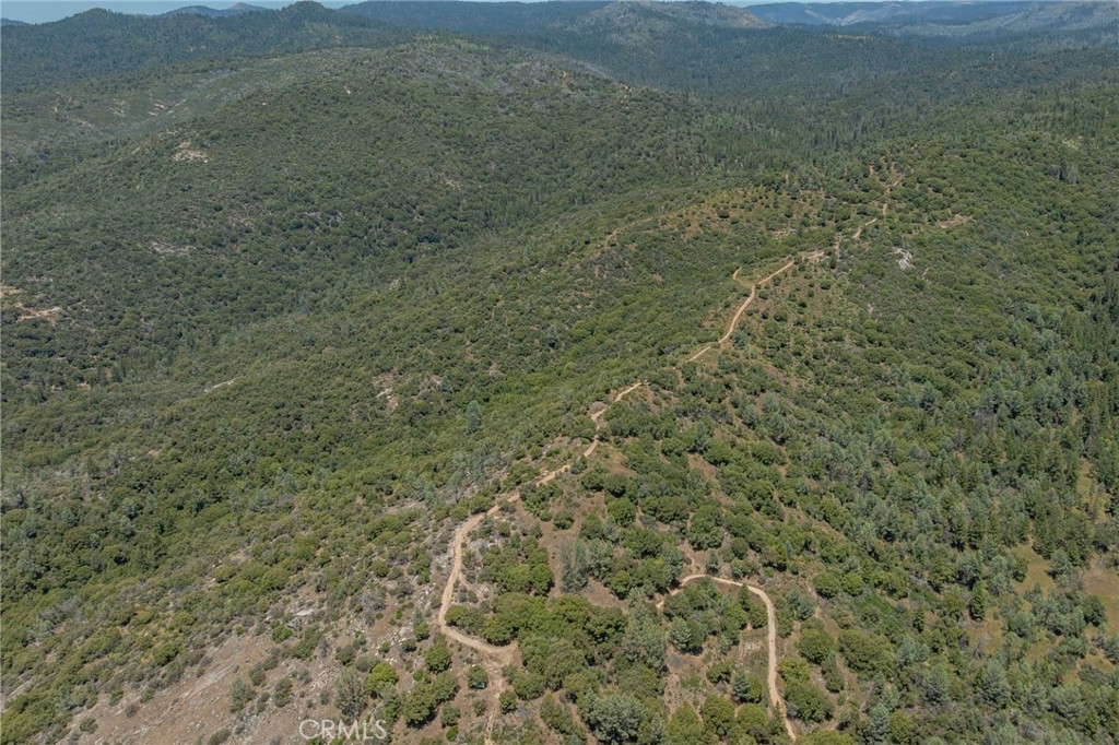 49 Acres Old Yosemite Road Property Photo 38