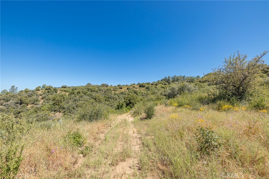 99 Acres Old Yosemite Road Property Photo 4