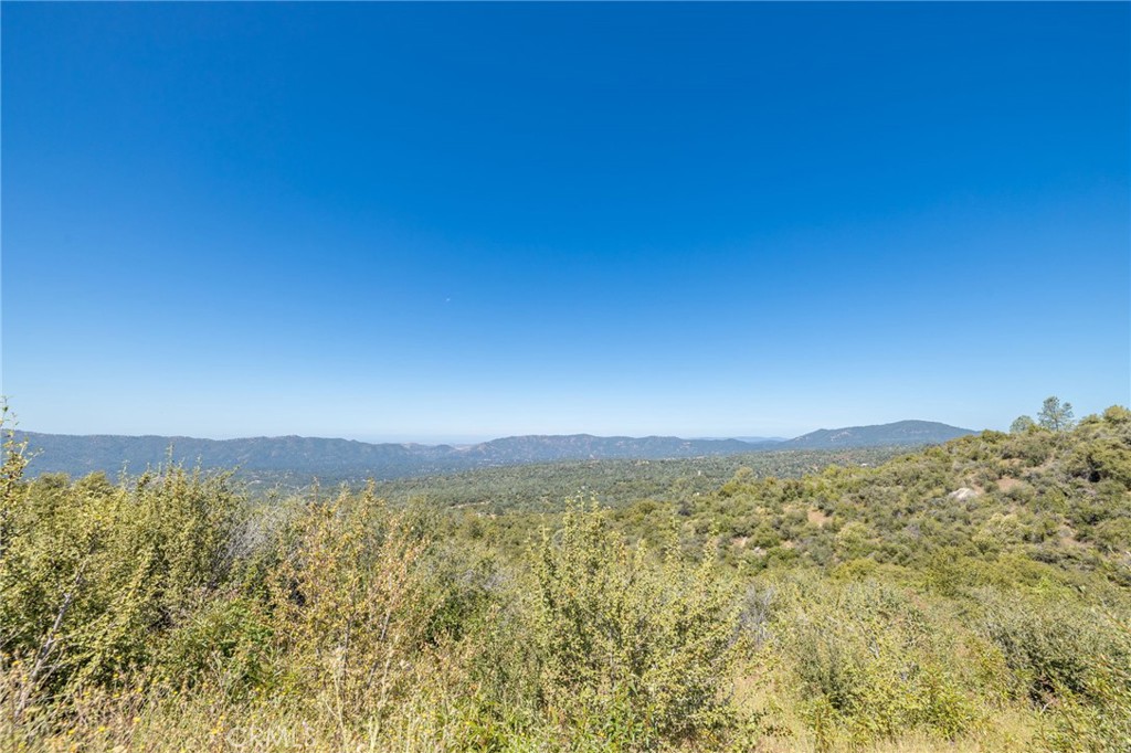 99 Acres Old Yosemite Road Property Photo 5