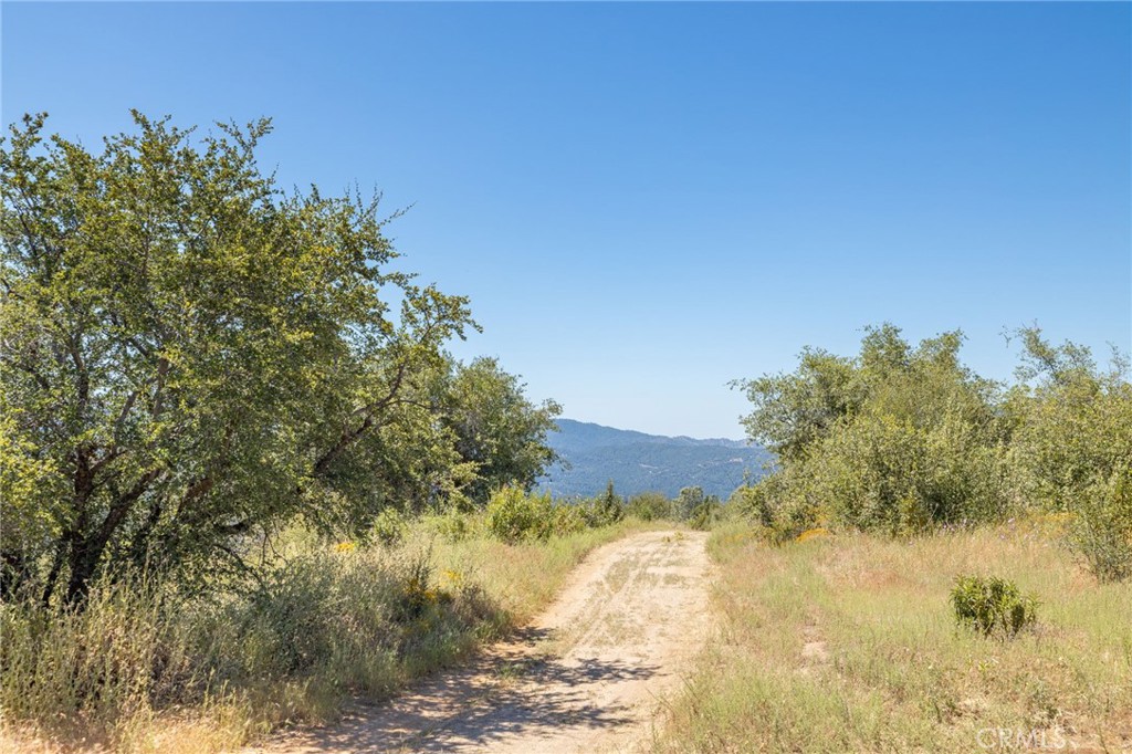 99 Acres Old Yosemite Road Property Photo 6