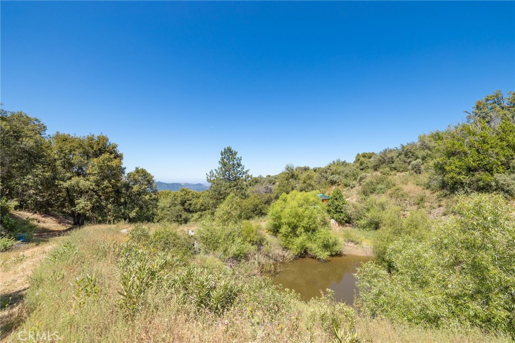 99 Acres Old Yosemite Road Property Photo 11