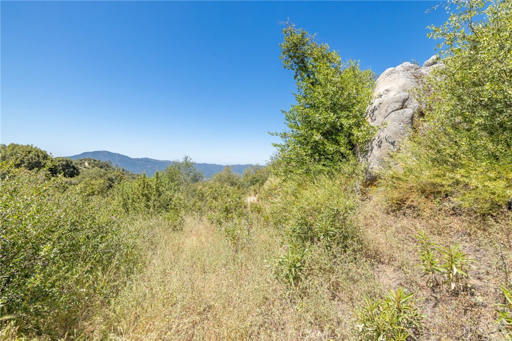 99 Acres Old Yosemite Road Property Photo 21