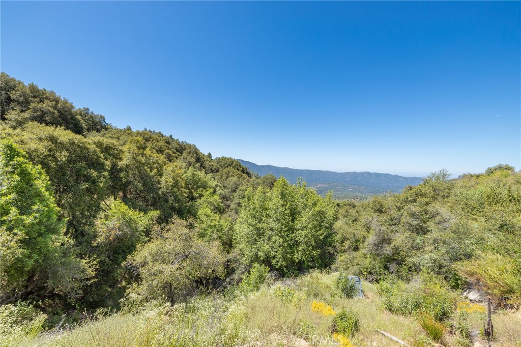 99 Acres Old Yosemite Road Property Photo 23