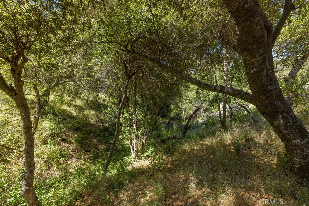 99 Acres Old Yosemite Road Property Photo 25