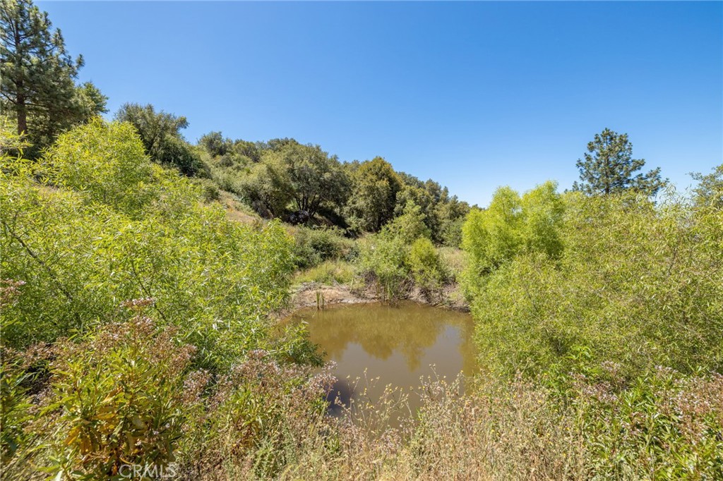 99 Acres Old Yosemite Road Property Photo 26