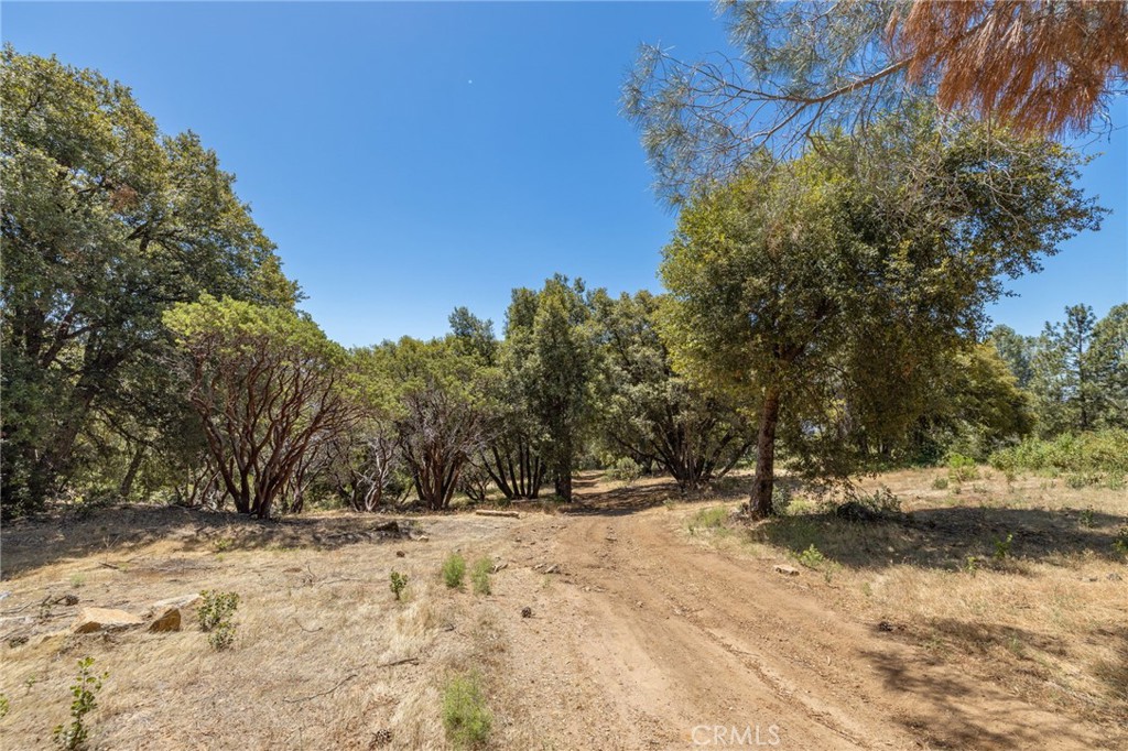 99 Acres Old Yosemite Road Property Photo 28