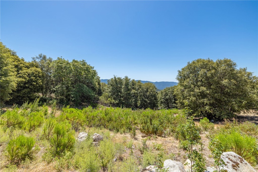 99 Acres Old Yosemite Road Property Photo 29