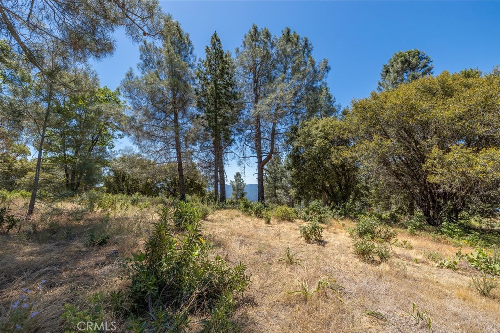 99 Acres Old Yosemite Road Property Photo 31