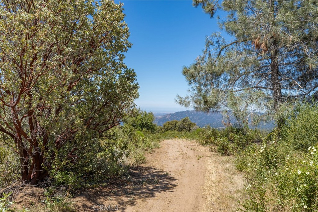 99 Acres Old Yosemite Road Property Photo 37