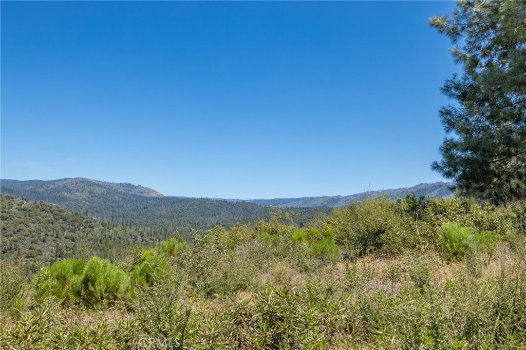 99 Acres Old Yosemite Road Property Photo 39
