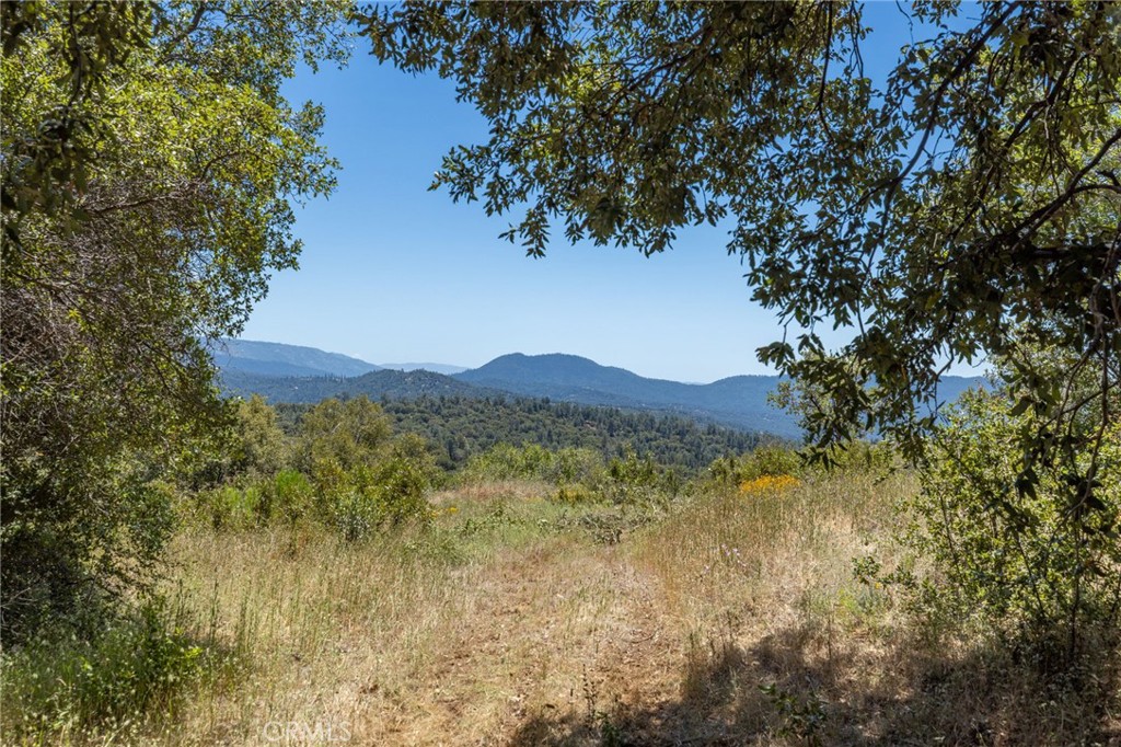 99 Acres Old Yosemite Road Property Photo 40