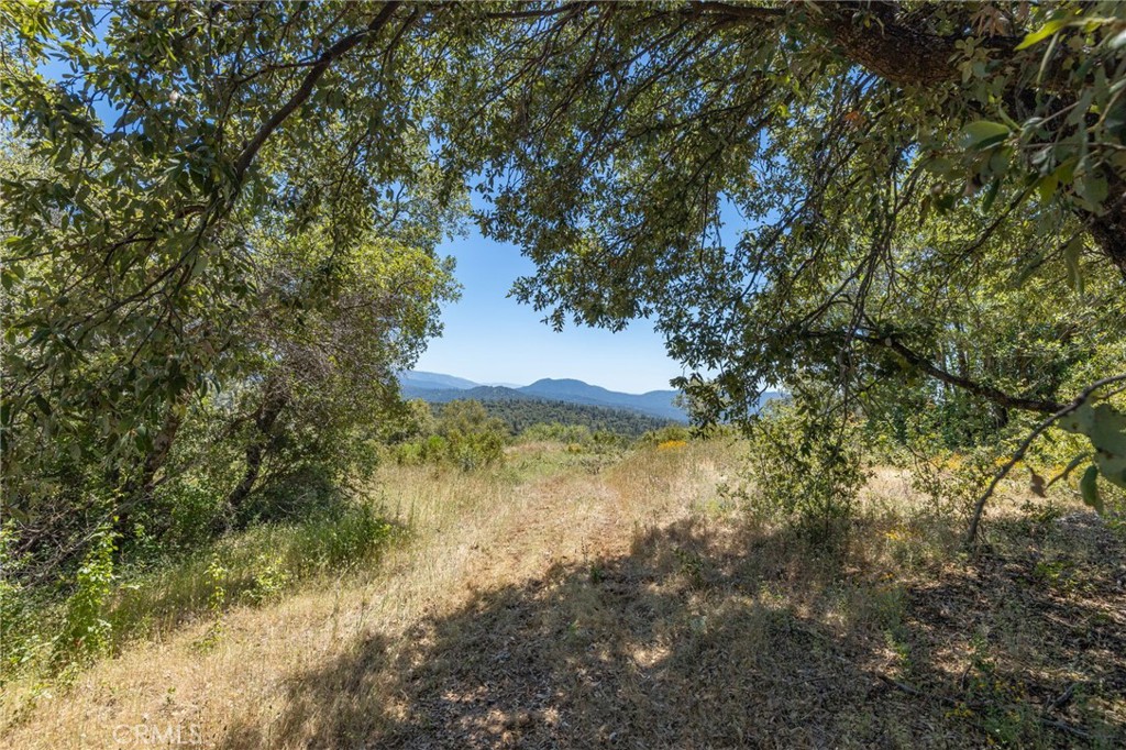 99 Acres Old Yosemite Road Property Photo 41
