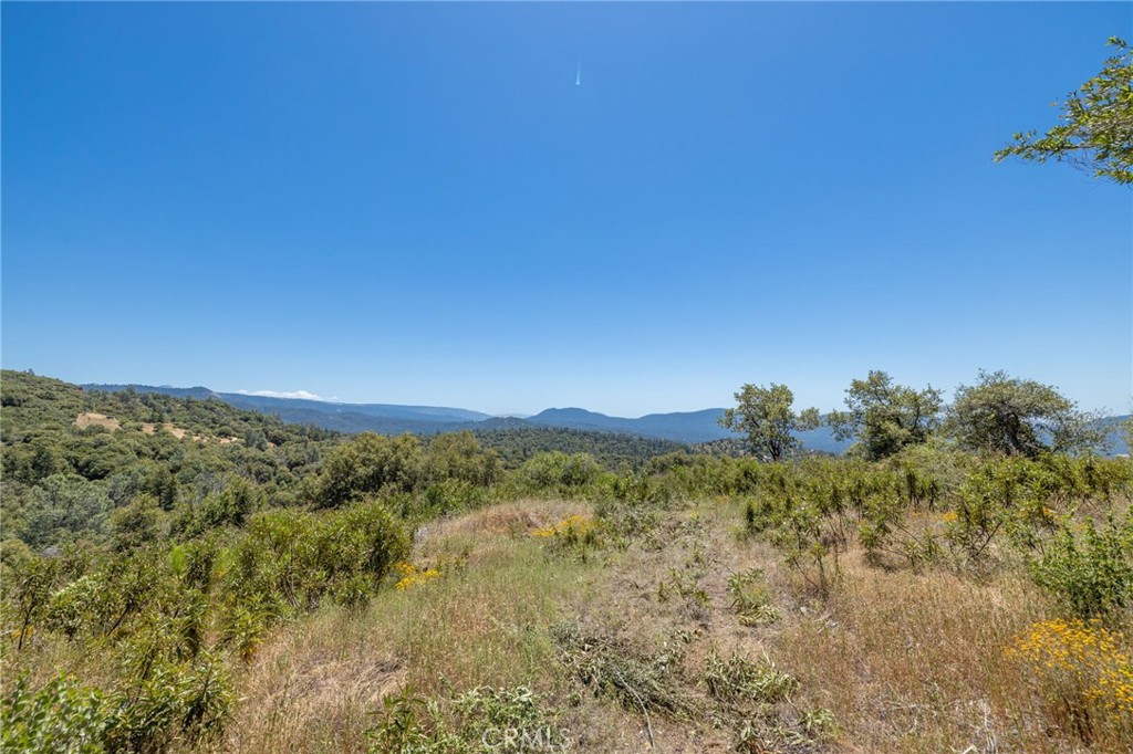 99 Acres Old Yosemite Road Property Photo 42