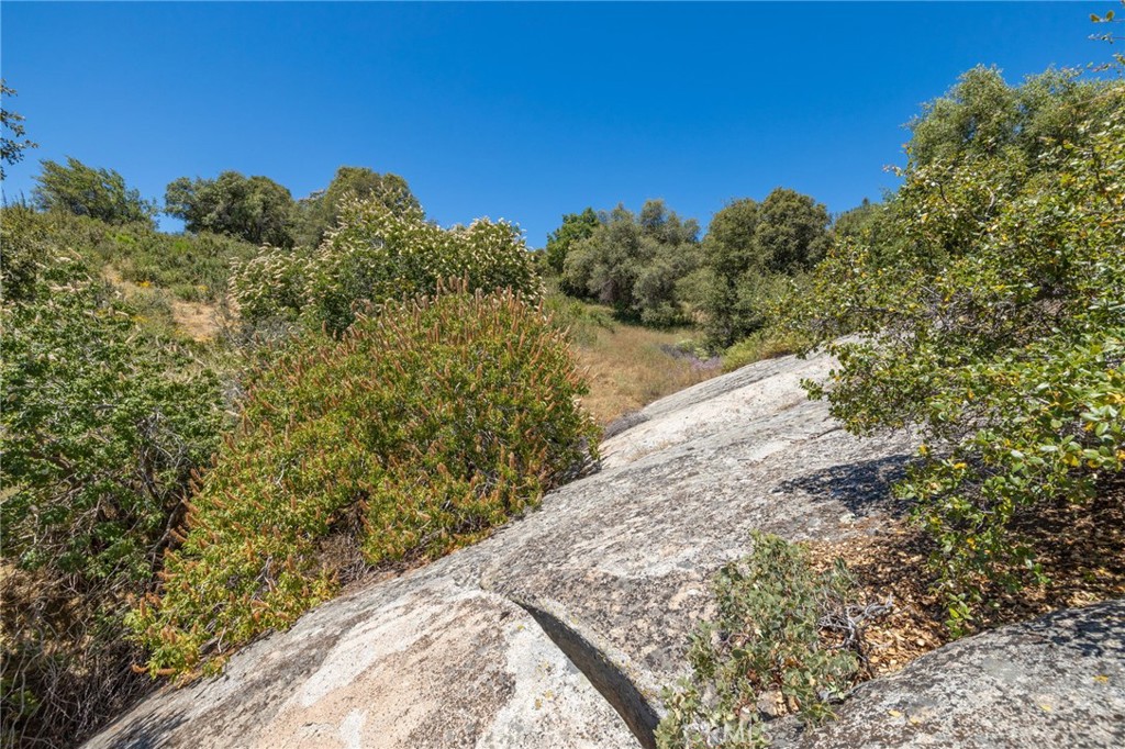 99 Acres Old Yosemite Road Property Photo 45