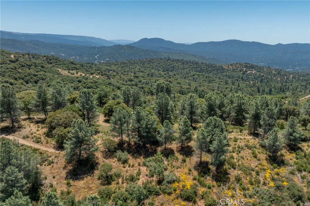 99 Acres Old Yosemite Road Property Photo 54