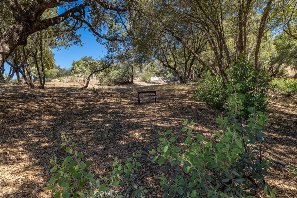 149 Acres Old Yosemite Road Property Photo 2