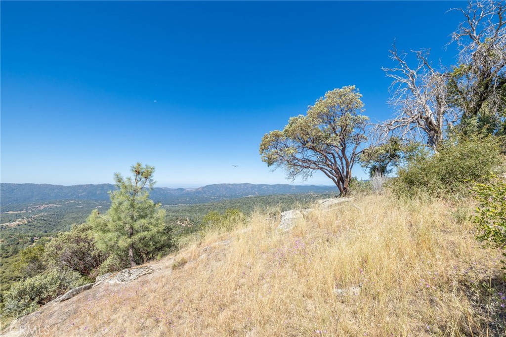 149 Acres Old Yosemite Road Property Photo 8
