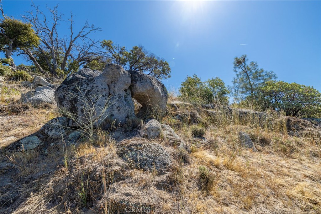 149 Acres Old Yosemite Road Property Photo 12