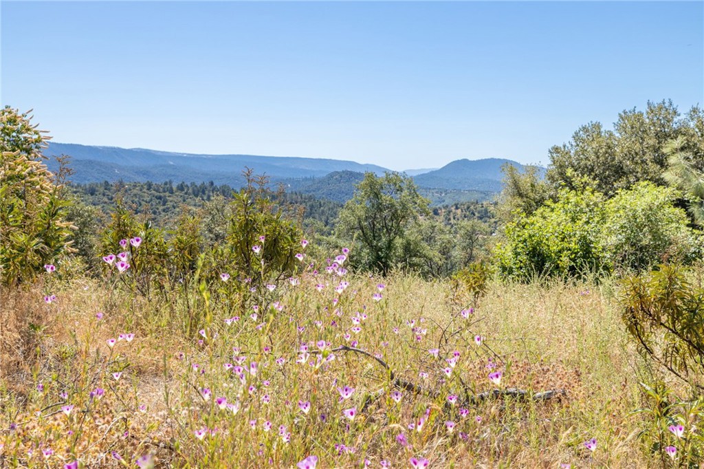 149 Acres Old Yosemite Road Property Photo 19