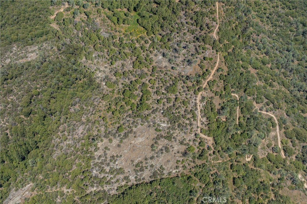 149 Acres Old Yosemite Road Property Photo 23