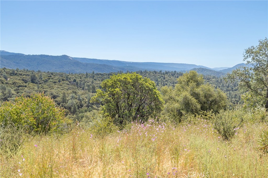 149 Acres Old Yosemite Road Property Photo 25