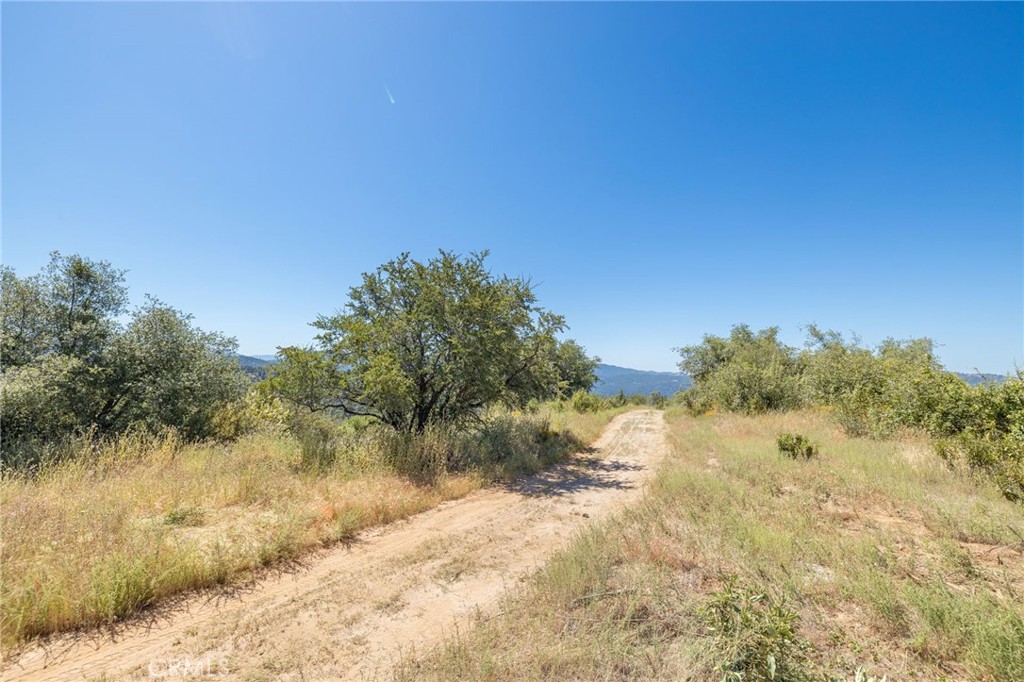 149 Acres Old Yosemite Road Property Photo 29