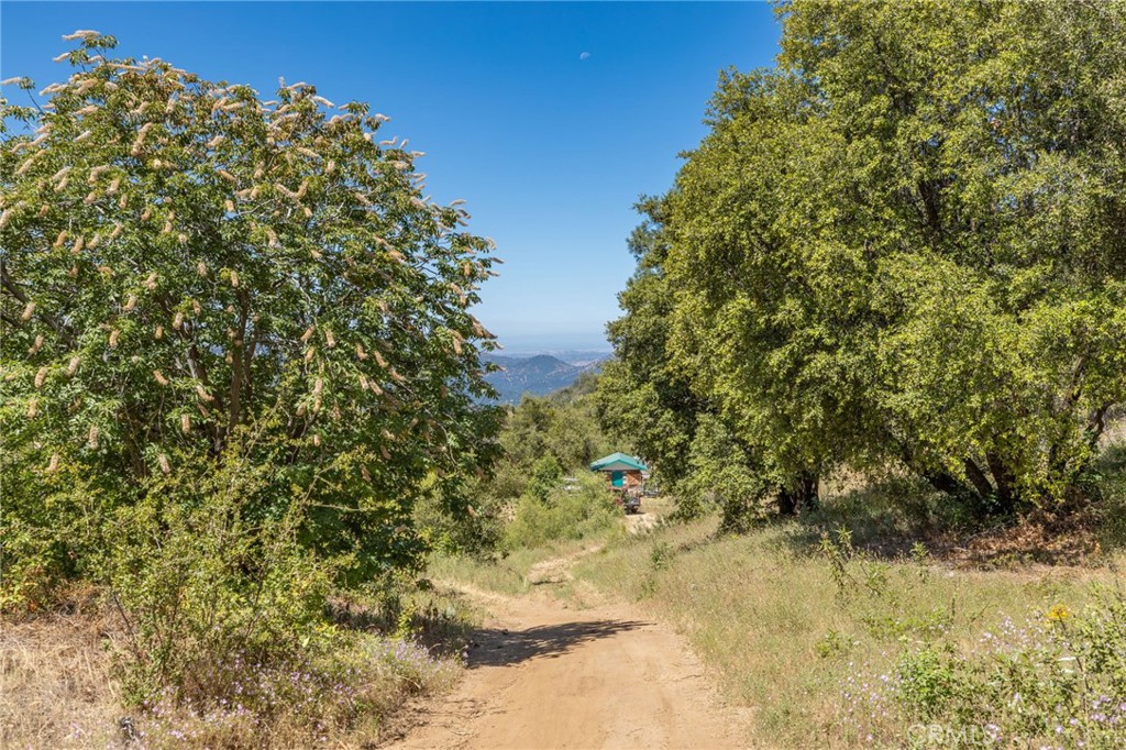 149 Acres Old Yosemite Road Property Photo 31