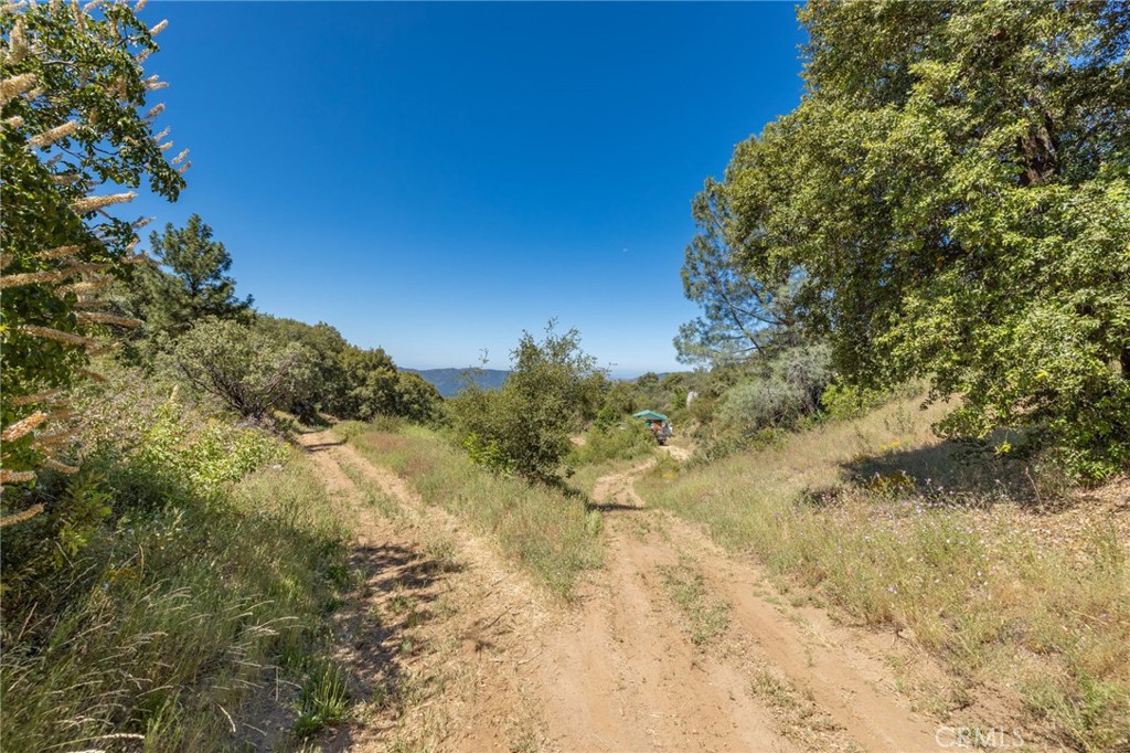 149 Acres Old Yosemite Road Property Photo 32