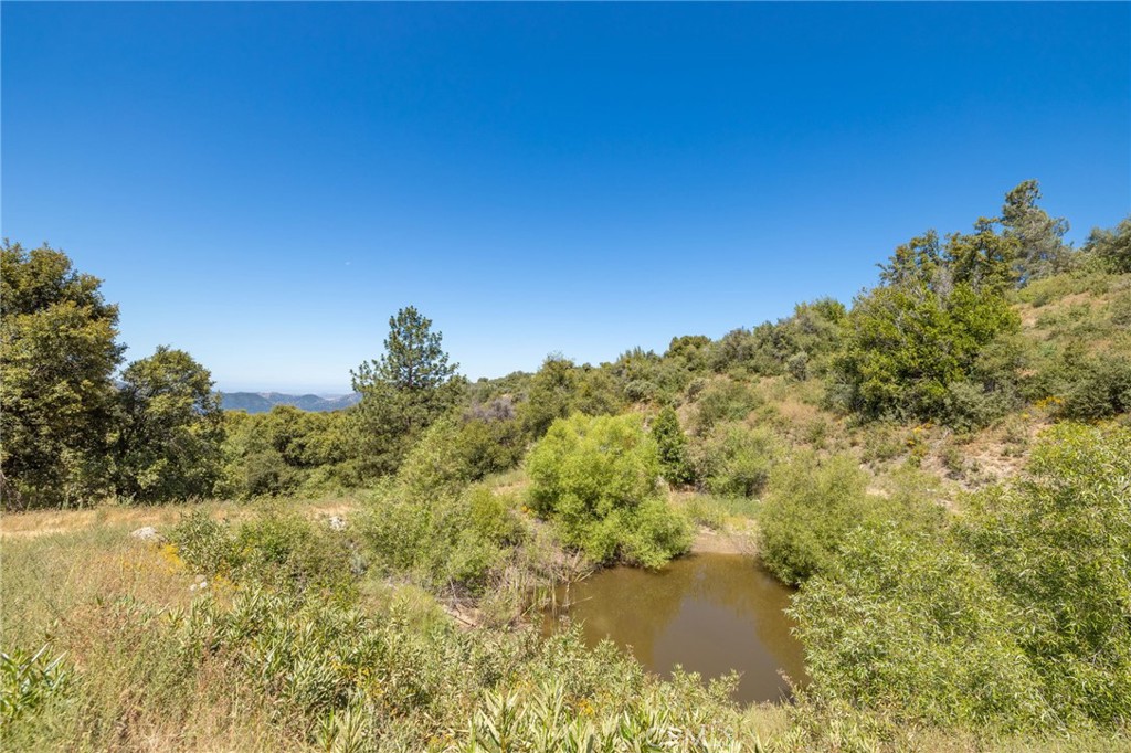 149 Acres Old Yosemite Road Property Photo 33