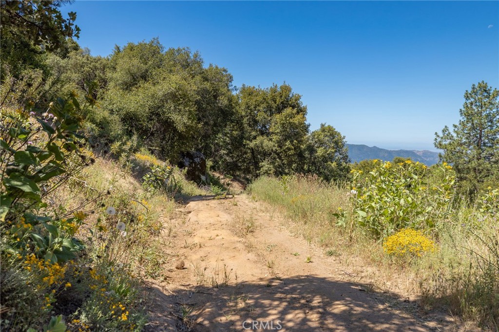 149 Acres Old Yosemite Road Property Photo 39