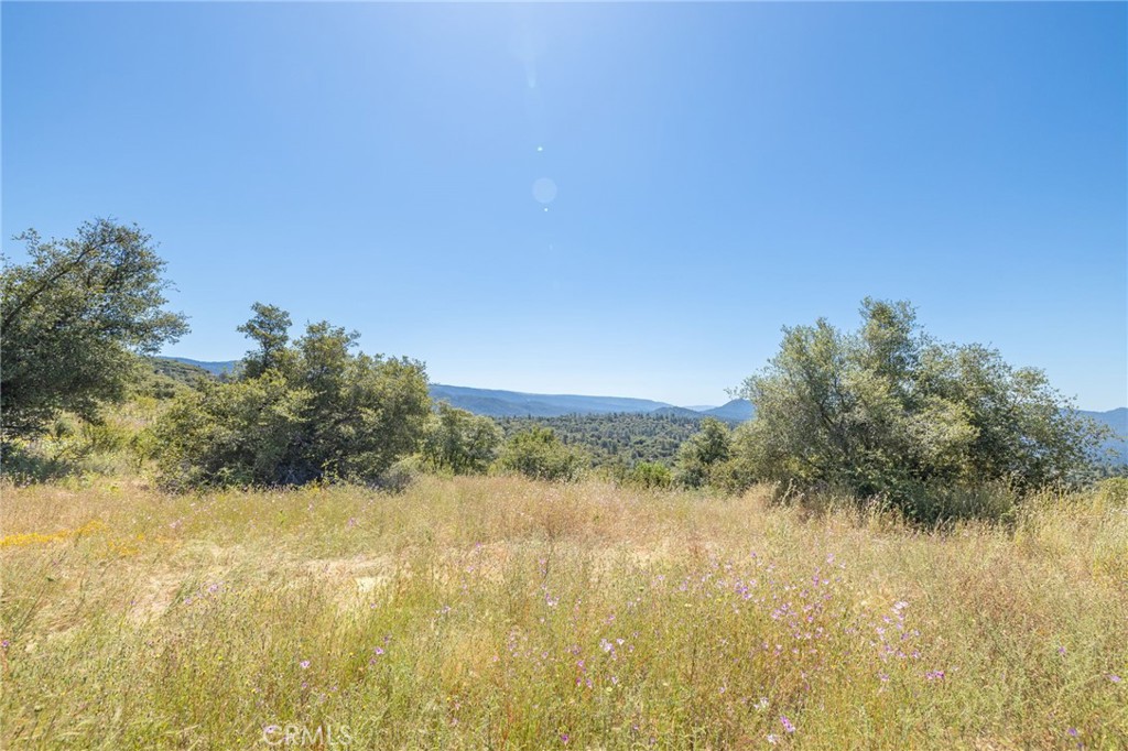 149 Acres Old Yosemite Road Property Photo 44