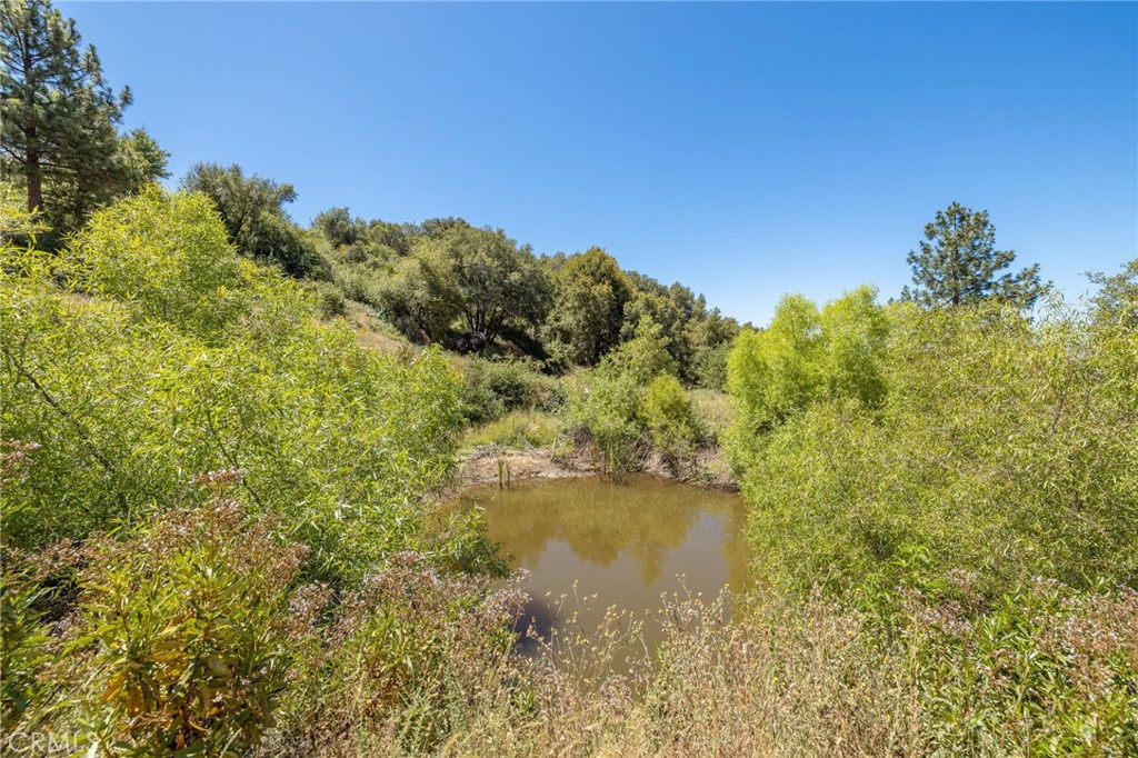 149 Acres Old Yosemite Road Property Photo 48