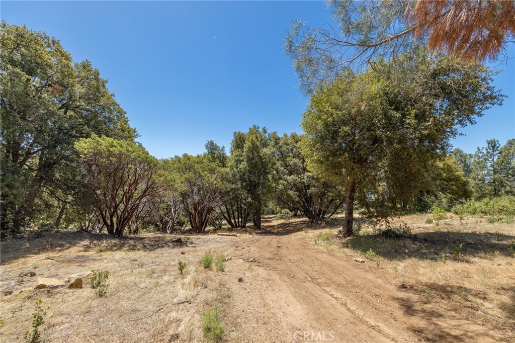 149 Acres Old Yosemite Road Property Photo 50
