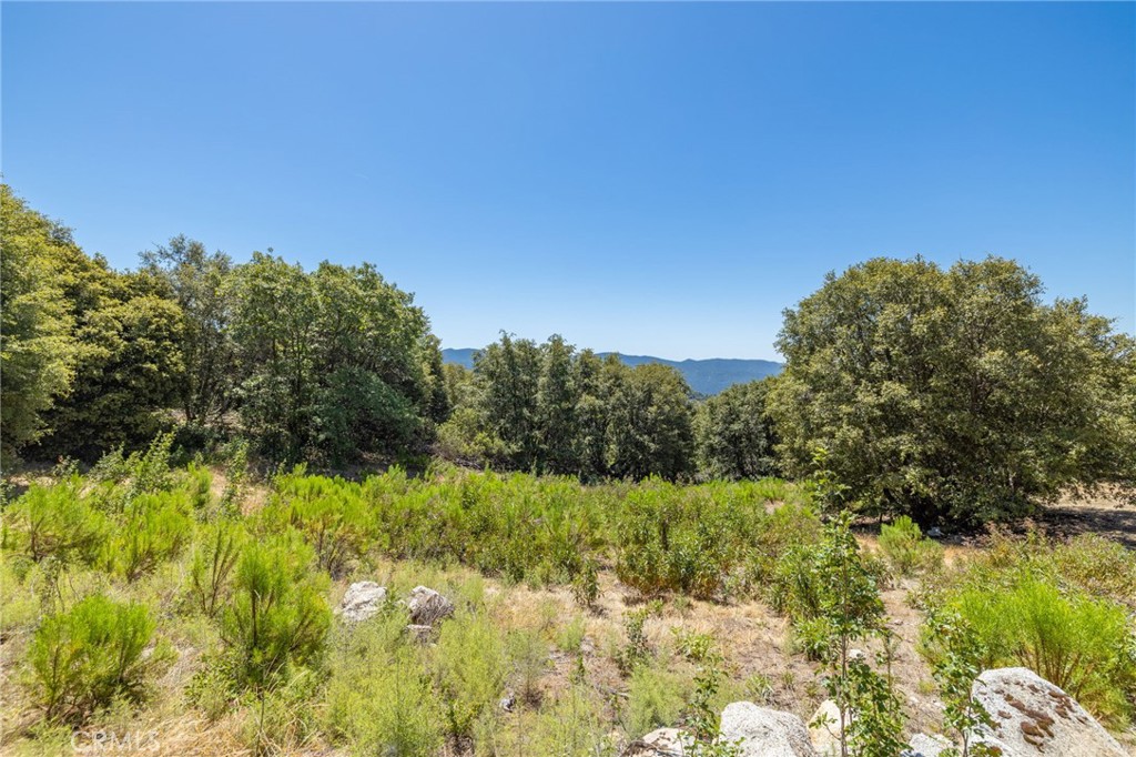 149 Acres Old Yosemite Road Property Photo 51