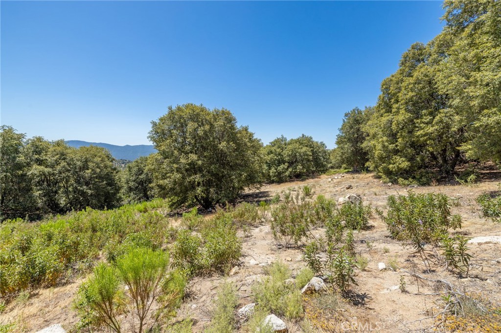 149 Acres Old Yosemite Road Property Photo 52