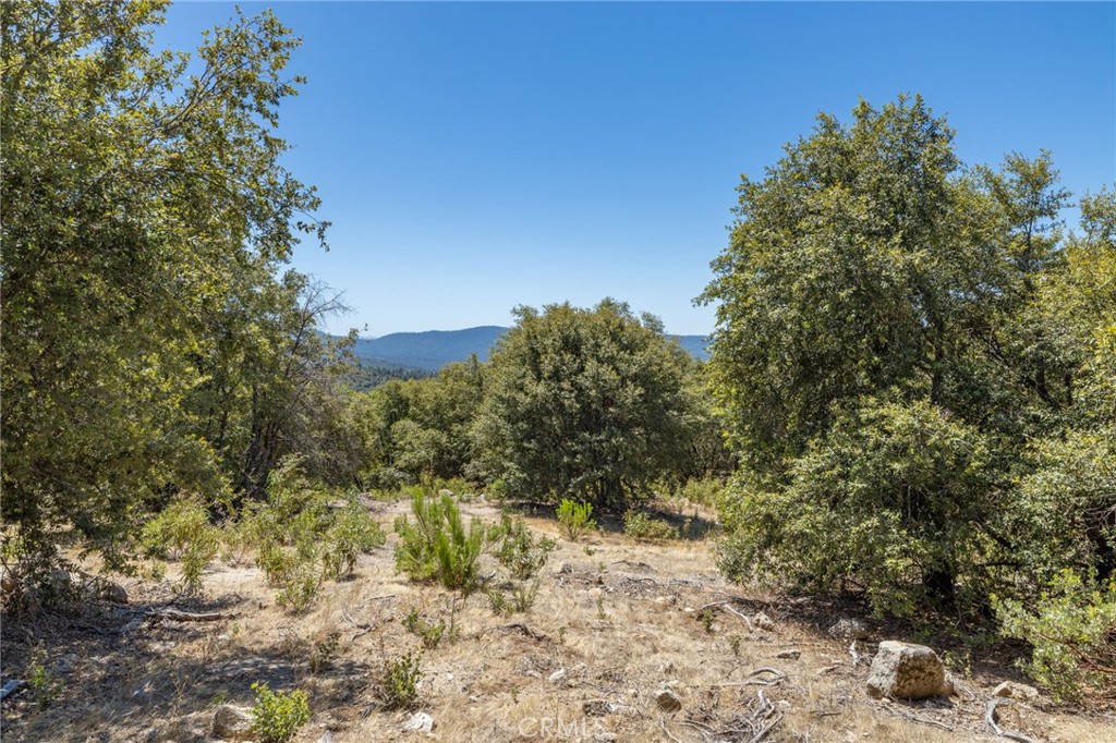 149 Acres Old Yosemite Road Property Photo 53