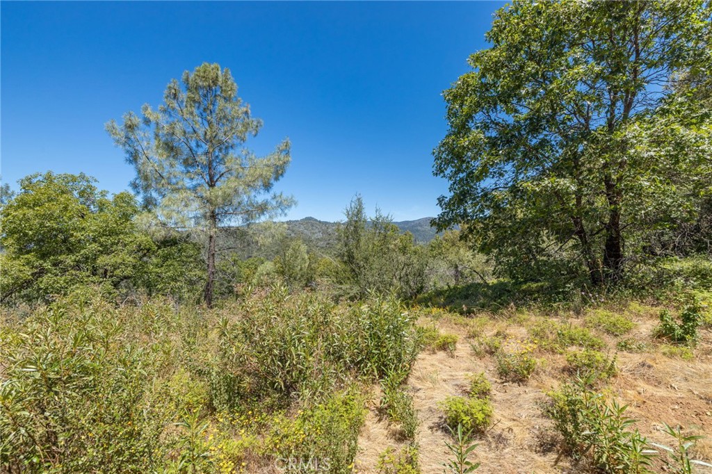149 Acres Old Yosemite Road Property Photo 54