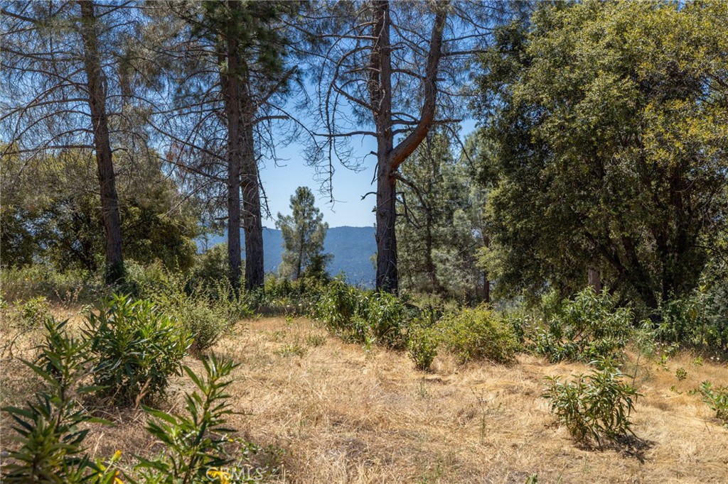 149 Acres Old Yosemite Road Property Photo 55