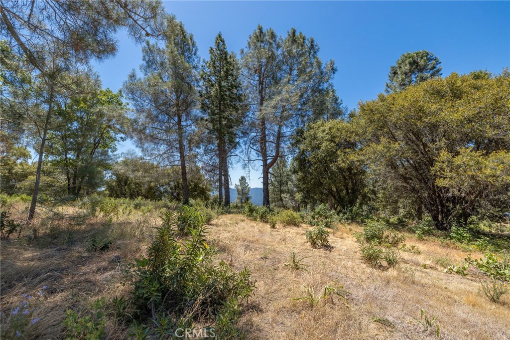 149 Acres Old Yosemite Road Property Photo 56