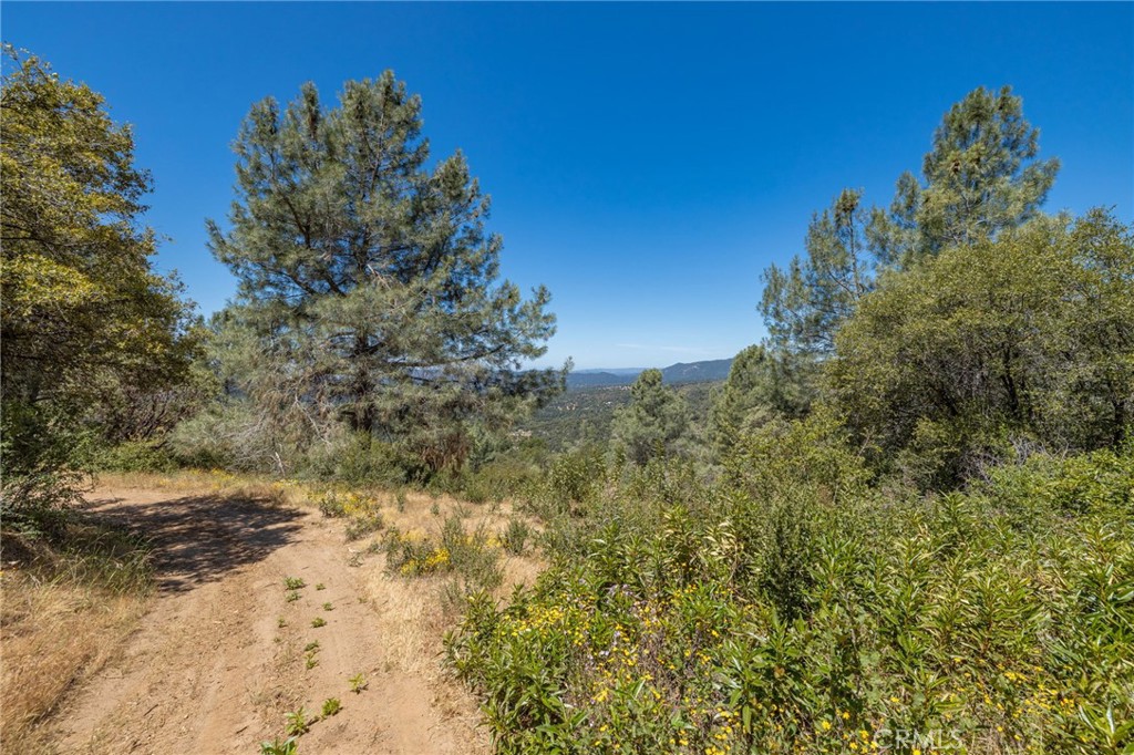 149 Acres Old Yosemite Road Property Photo 57