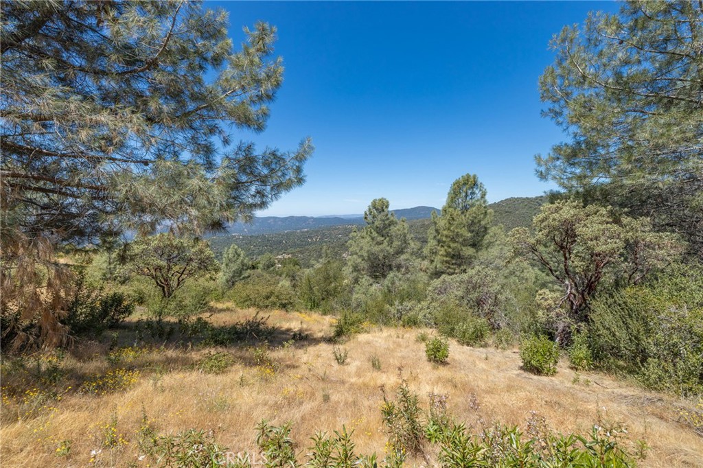 149 Acres Old Yosemite Road Property Photo 58
