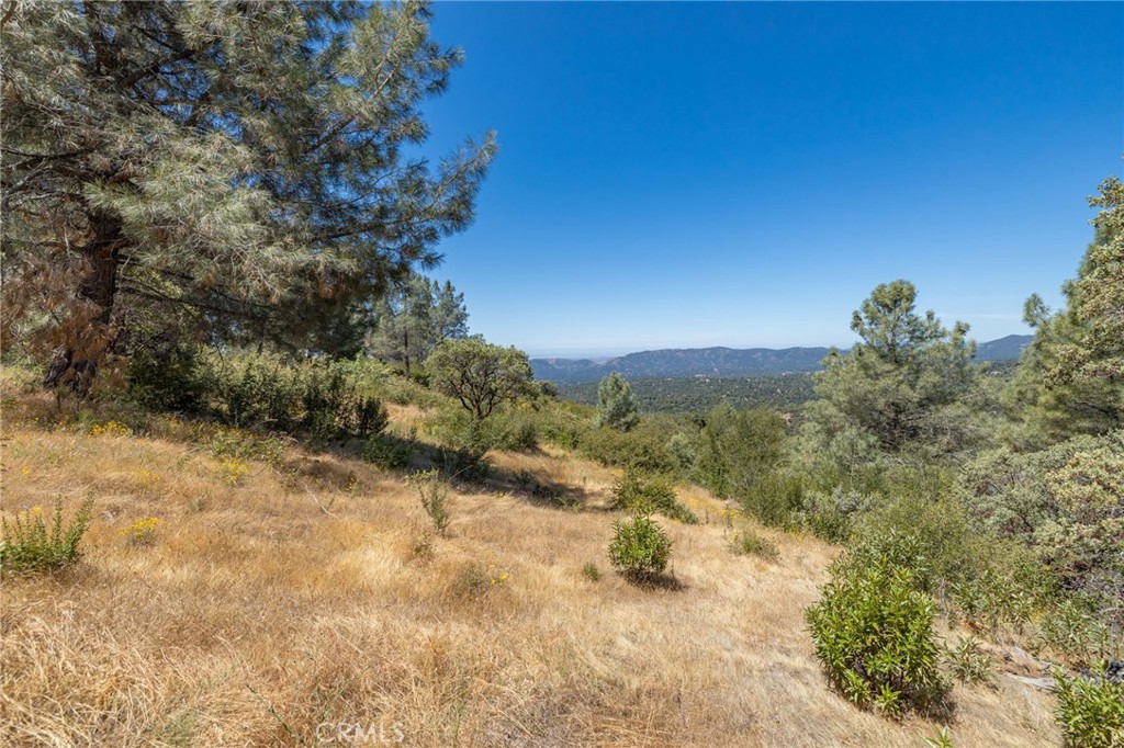 149 Acres Old Yosemite Road Property Photo 59