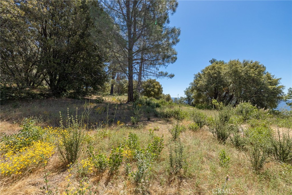 149 Acres Old Yosemite Road Property Photo 60