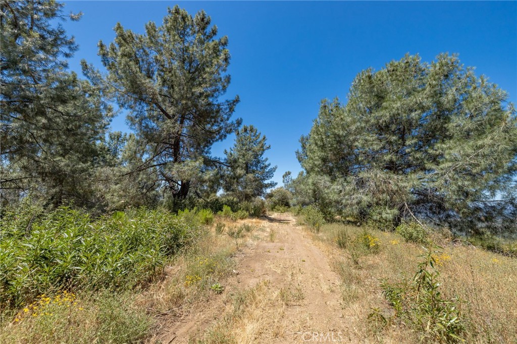 149 Acres Old Yosemite Road Property Photo 61